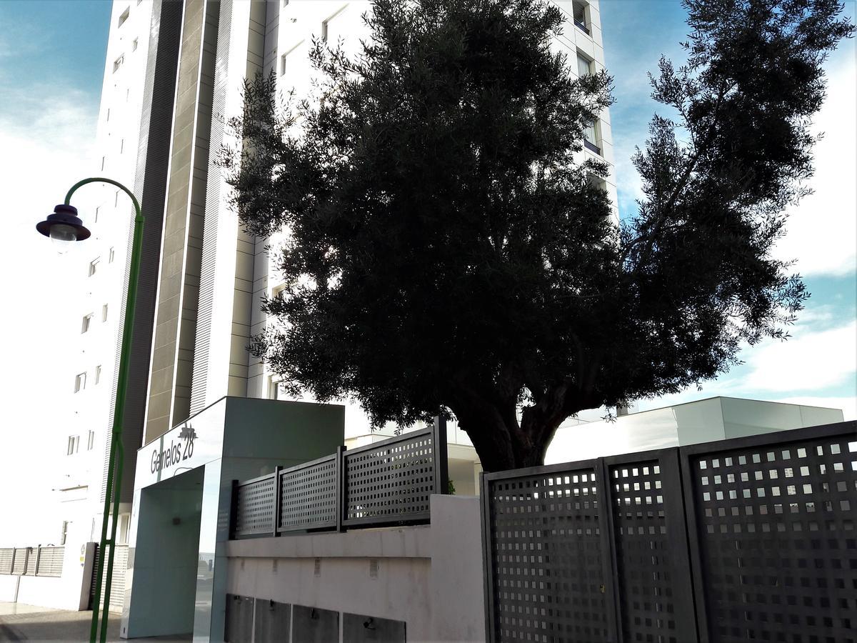 Gemelos Primera Linea Apartment Benidorm Bagian luar foto